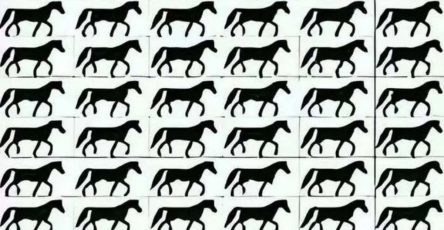 1f81aea36b4f043ad7 copy 758x416 6 1 taha 2 taha taha 2 185 1 105