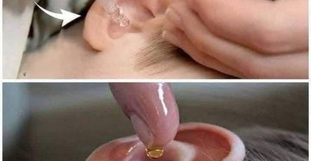 488866937 1070769081754333 6393890754434597199 n 1 1 1 1 1 1 1 1 1 1 1 1 1 1 1 1 1 2 1 1 1 1 1 1 1 1 1 1 1 1 1 1 1 1 1 2025 05 22T1605 100