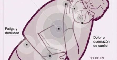 556816507 776913408545262 8456704928118879286 n