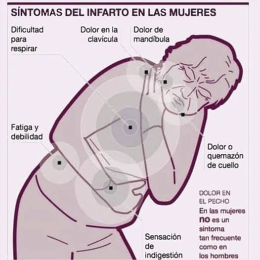 556816507 776913408545262 8456704928118879286 n