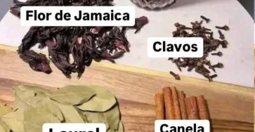 557447171 807367778905176 7704083882718431685 n