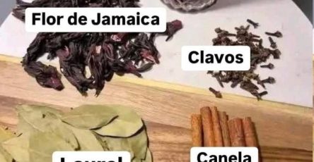 557447171 807367778905176 7704083882718431685 n