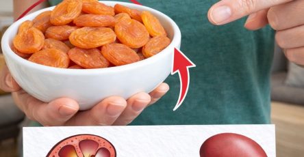 632939638 915671978086510 7759570970764052858 n