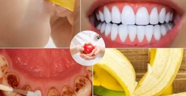 633975296 2391885547940315 5878929132855609313 n