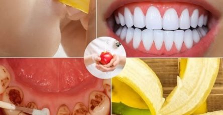 633975296 2391885547940315 5878929132855609313 n