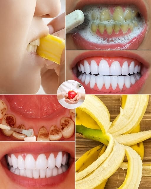 633975296 2391885547940315 5878929132855609313 n