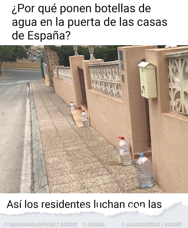 635106037 864816549997388 5151871022333628650 n