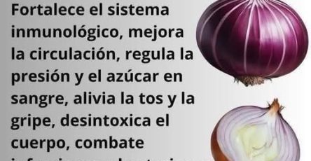 644096178 122290552646023428 4801222386784951610 n