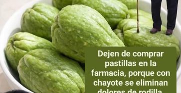 WhatsApp Image 2026 01 19 at 06.16.45 (1)