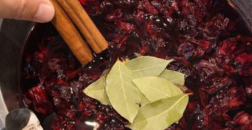 WhatsApp Image 2026 02 23 at 03.25.21