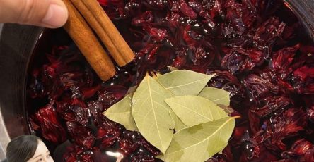 WhatsApp Image 2026 02 23 at 03.25.21