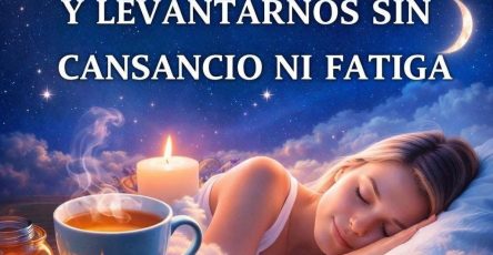 WhatsApp Image 2026 02 26 at 19.04.28