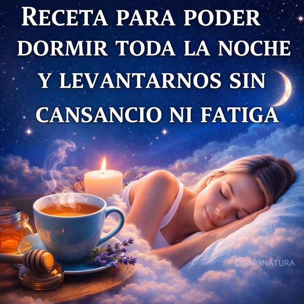 WhatsApp Image 2026 02 26 at 19.04.28