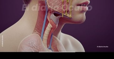 WhatsApp Image 2026 02 28 at 15.43.41