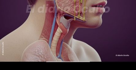 WhatsApp Image 2026 02 28 at 15.43.41