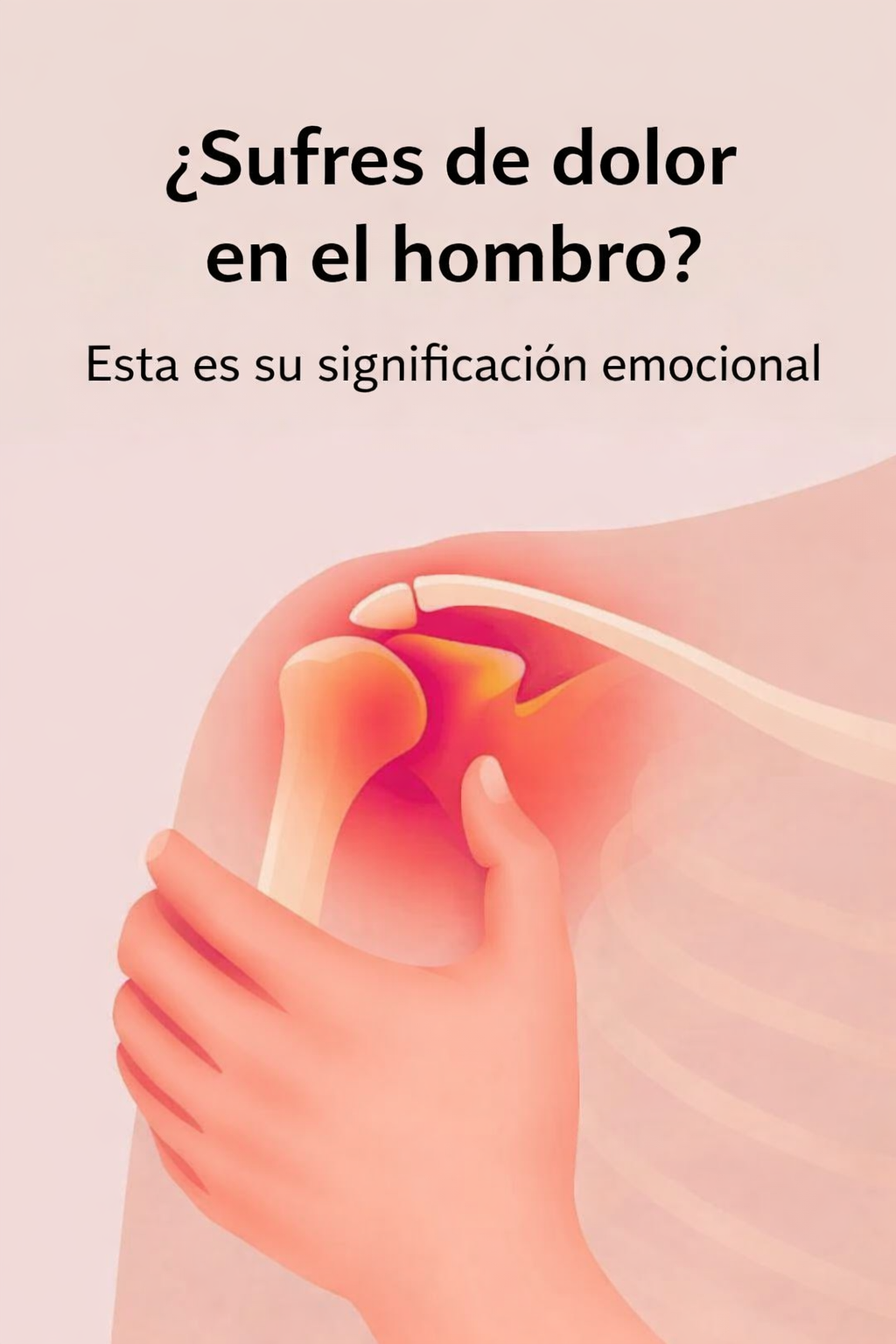 C5198ff4 4896 4559 a55d 358fd19748ed