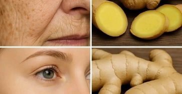 550822630 775780005062187 2772150449684612989 n 768x960