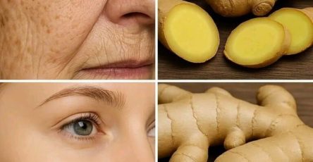 550822630 775780005062187 2772150449684612989 n 768x960