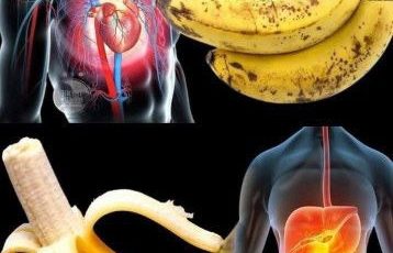 632480976 122208792620567604 7930856753869354469 n