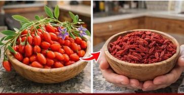 646322454 902878716059780 2644485029278640394 n