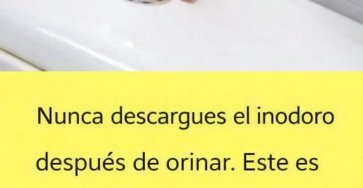 868ef4e6 3adb 48cf 805b 3f5a50e32d23