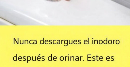 868ef4e6 3adb 48cf 805b 3f5a50e32d23