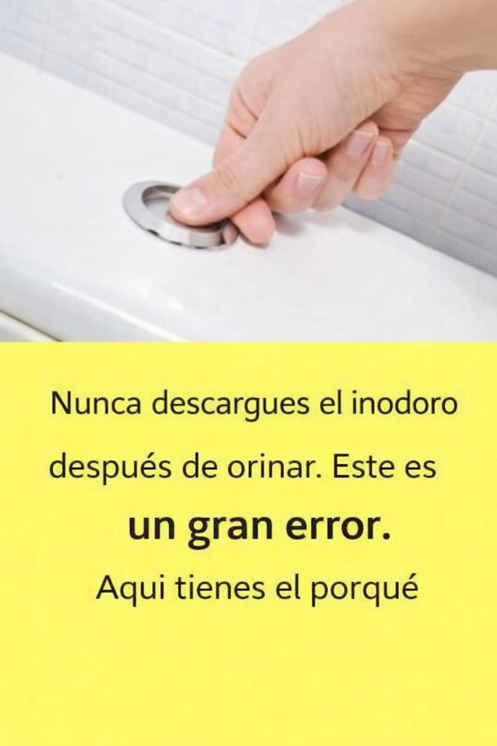 868ef4e6 3adb 48cf 805b 3f5a50e32d23