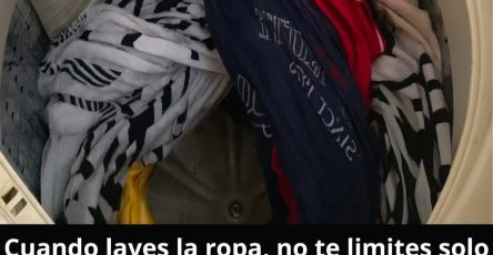 WhatsApp Image 2026 02 23 at 14.09.11