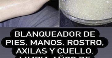 WhatsApp Image 2026 03 02 at 03.26.34