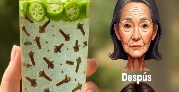 B227a185 5481 4f9b 919f ac6174d658fd