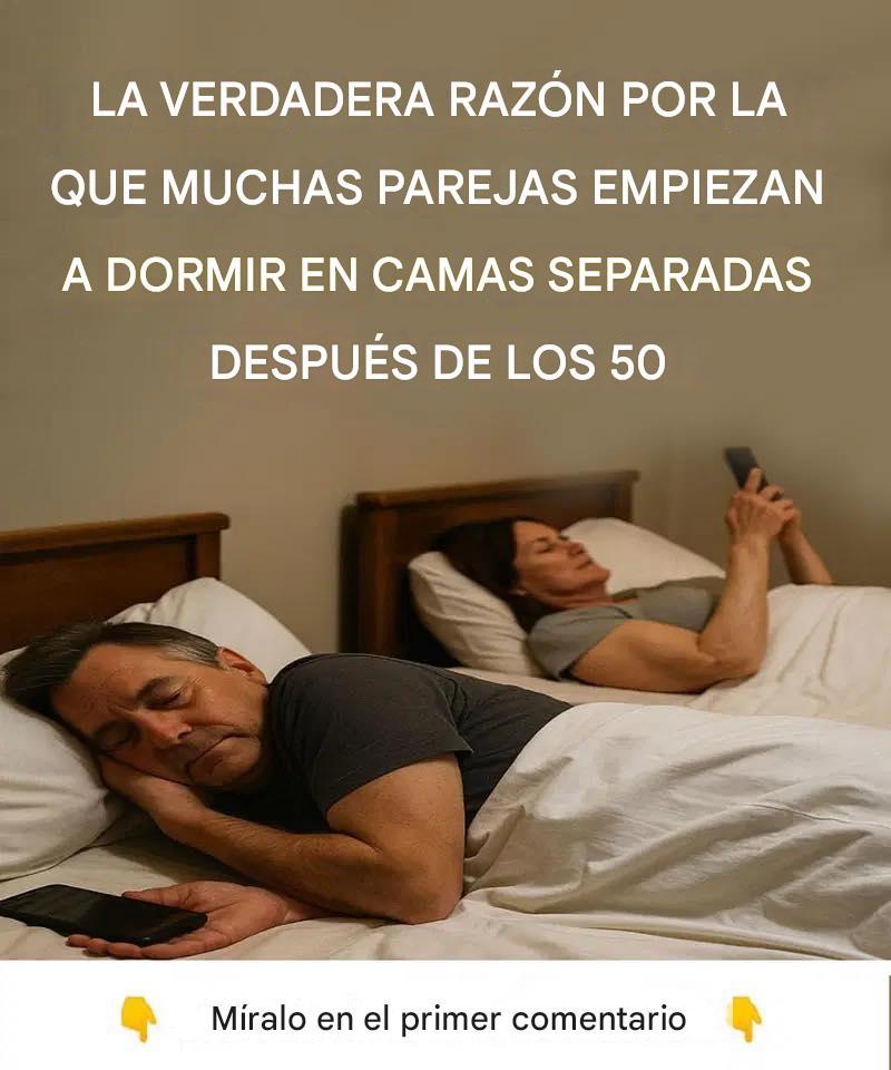 556399538 1408213214070795 1506839010904823437 n