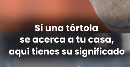 E51D6267 0AEB 46A6 9092 3898791D6847