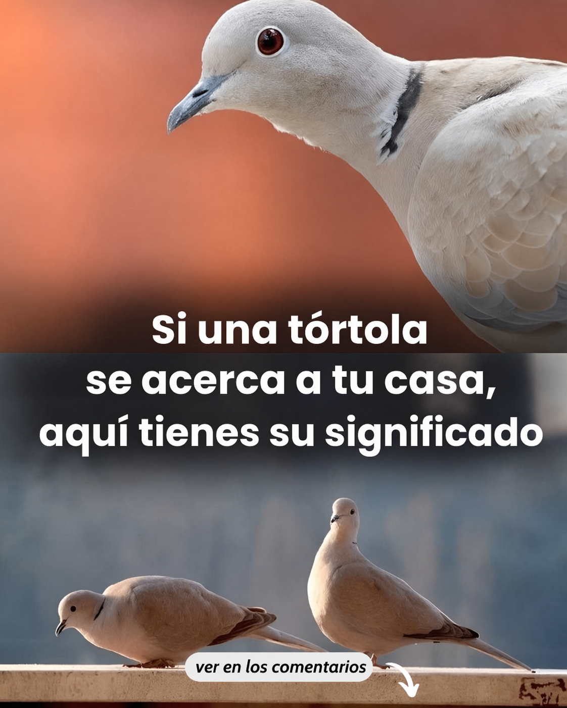 E51D6267 0AEB 46A6 9092 3898791D6847