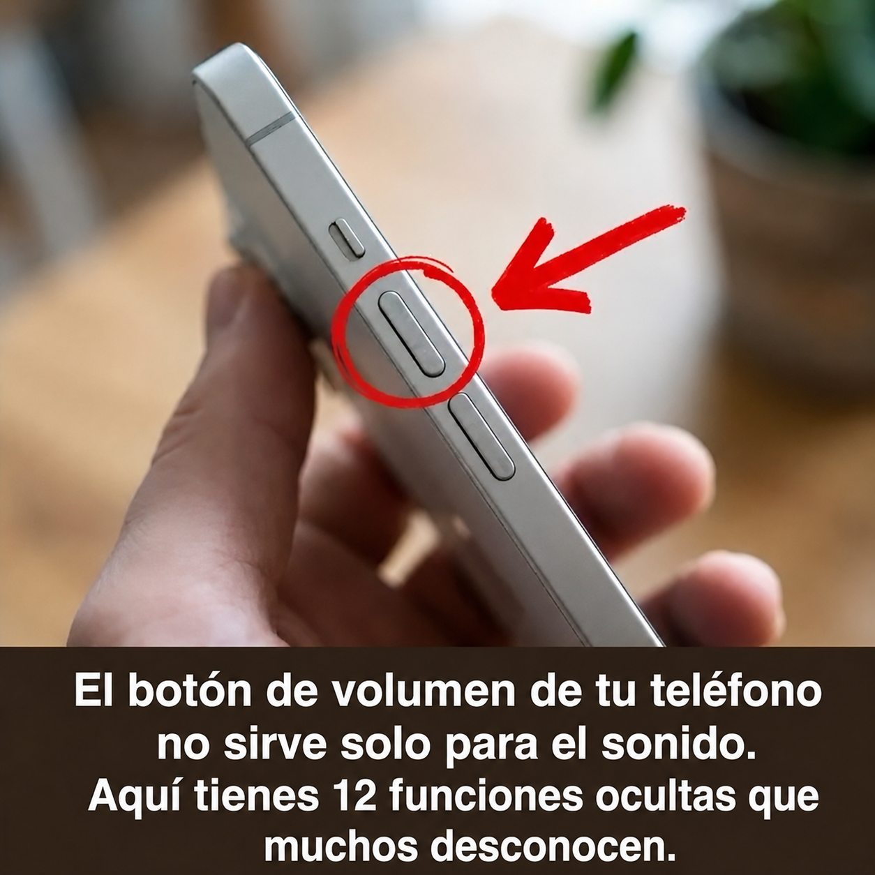 35173351 D136 423E B9C6 8667927A4AF4