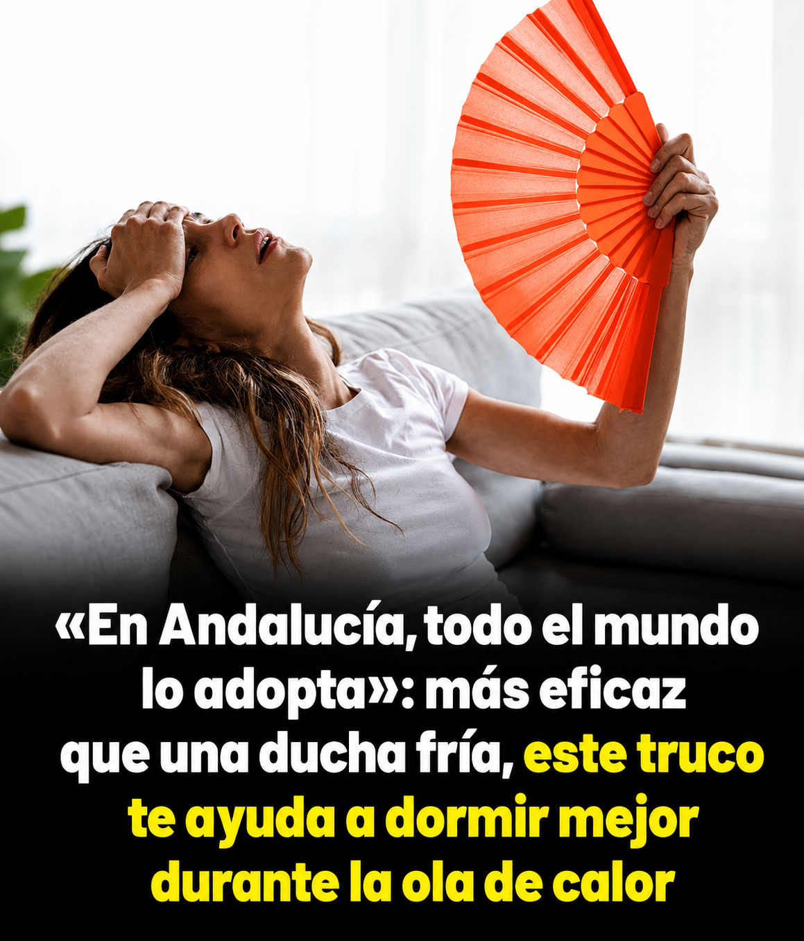 D82C2A01 3D2C 4177 BBAE D8334AC4188E